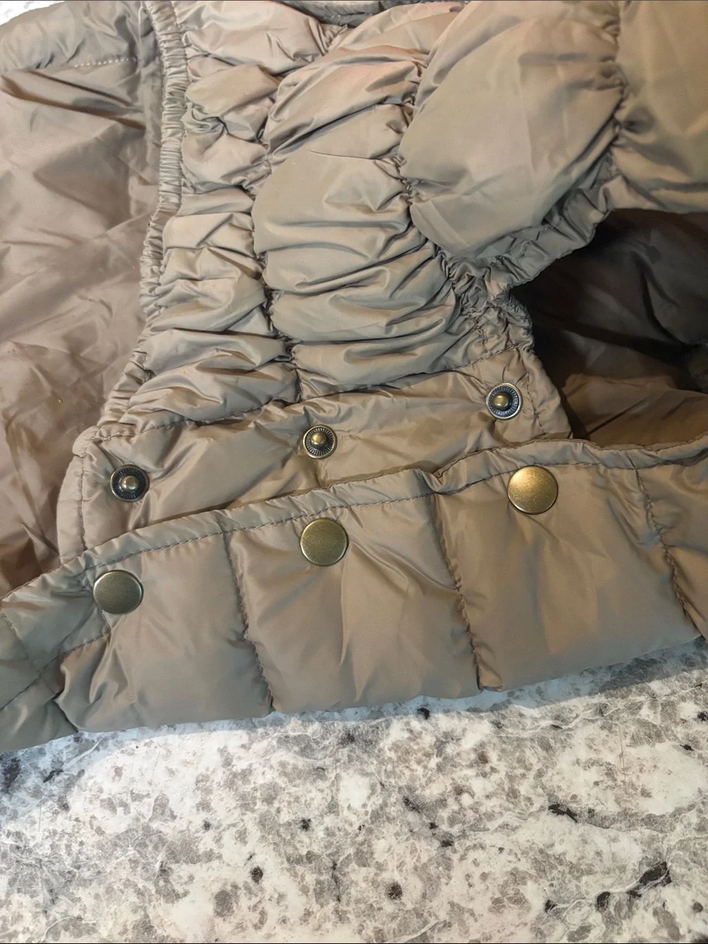 Space lion Dog Vest